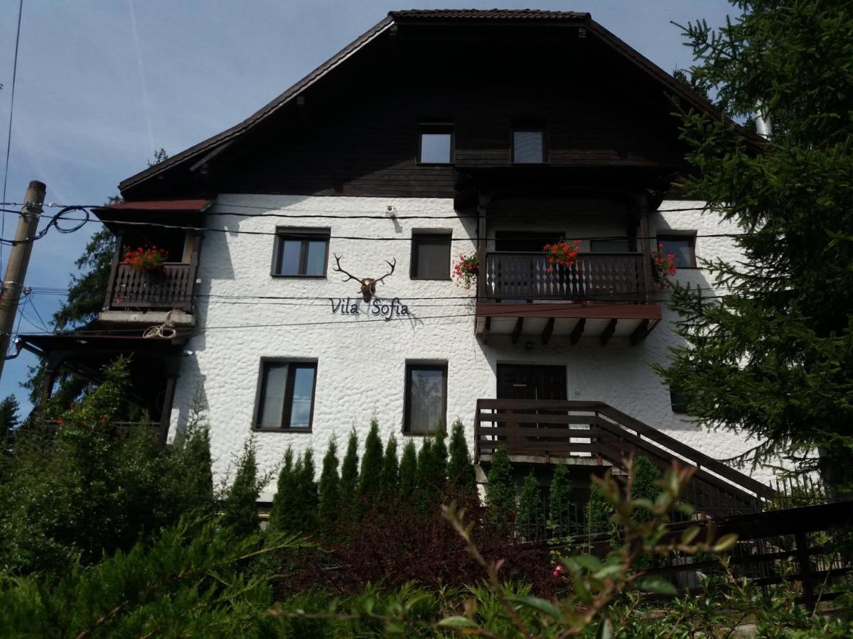 Vila Sofia Predeal Exterior photo